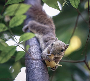 呼死你轰炸短信平台