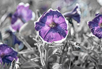 短信压力测试器